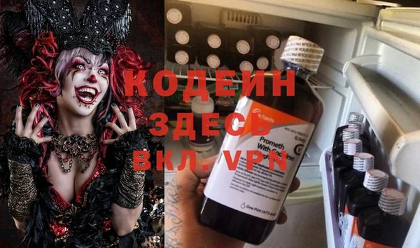 прущие грибы Алексеевка