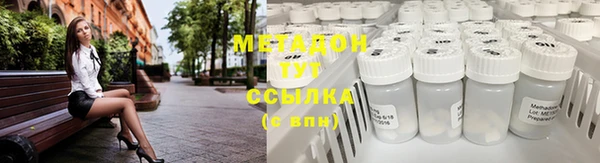 прущие грибы Алексеевка