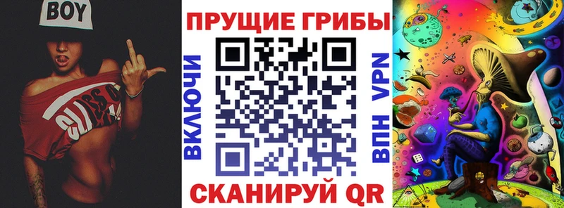 Галлюциногенные грибы прущие грибы  Рошаль 